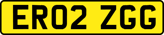 ER02ZGG