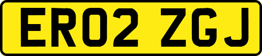 ER02ZGJ