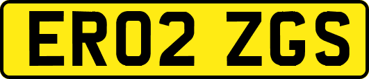 ER02ZGS