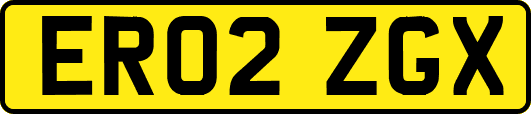 ER02ZGX