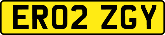 ER02ZGY
