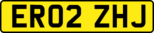 ER02ZHJ