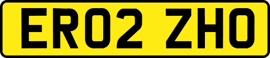 ER02ZHO