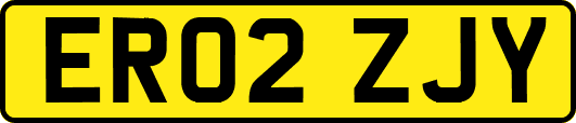 ER02ZJY