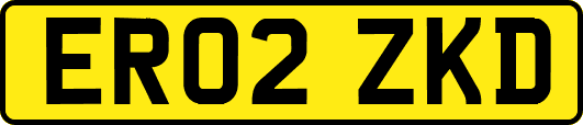ER02ZKD