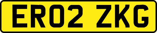 ER02ZKG