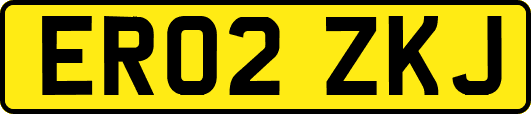 ER02ZKJ