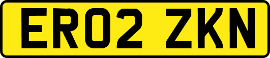 ER02ZKN
