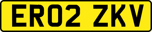 ER02ZKV