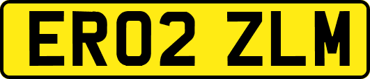 ER02ZLM