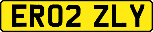 ER02ZLY