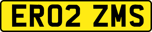 ER02ZMS