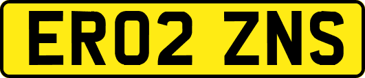 ER02ZNS