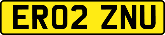 ER02ZNU
