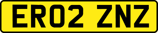 ER02ZNZ