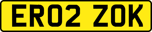 ER02ZOK