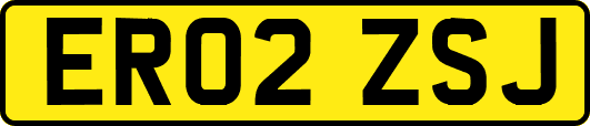 ER02ZSJ