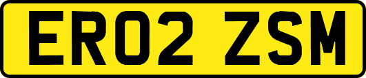 ER02ZSM