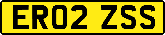 ER02ZSS