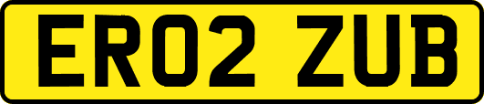 ER02ZUB
