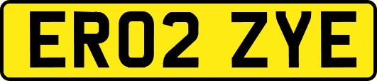 ER02ZYE