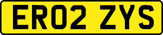 ER02ZYS
