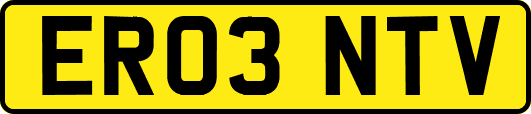 ER03NTV