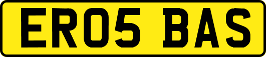 ER05BAS