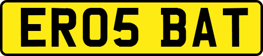 ER05BAT