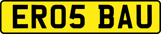 ER05BAU