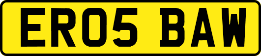 ER05BAW