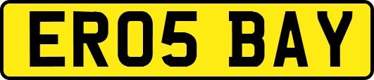 ER05BAY