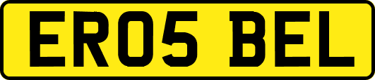 ER05BEL