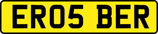 ER05BER