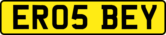 ER05BEY