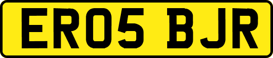 ER05BJR