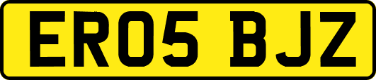 ER05BJZ