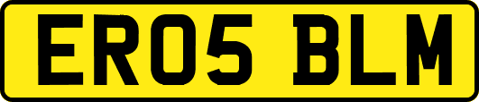 ER05BLM