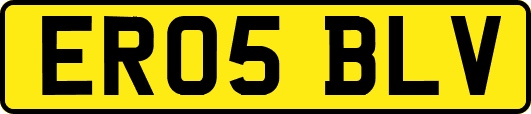 ER05BLV