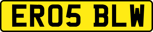 ER05BLW