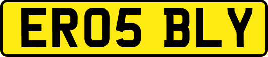 ER05BLY
