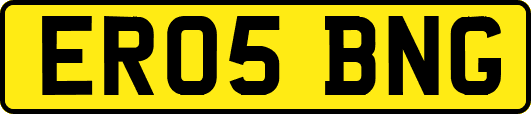 ER05BNG