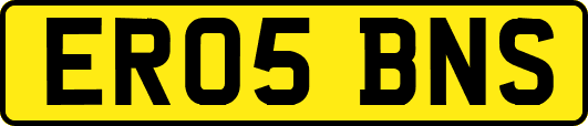 ER05BNS