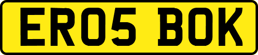 ER05BOK