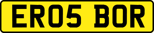 ER05BOR