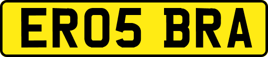 ER05BRA
