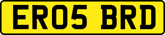 ER05BRD