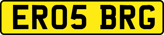 ER05BRG