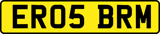 ER05BRM