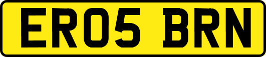 ER05BRN